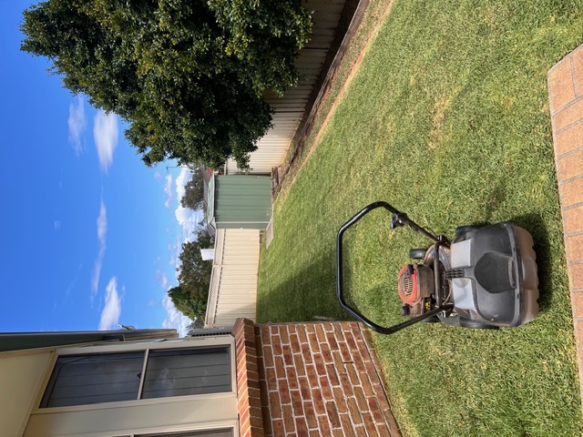 Lawn Mowing
