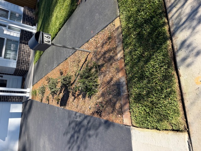Mulch Installation
